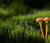 电大学生自我鉴定范文 电大学生自我鉴定