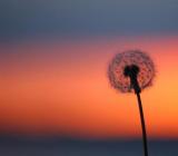 个人售房合同协议书