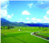 以乡村振兴为统领　巩固提升脱贫成果—市脱贫攻坚面临的新情况新问题及对策研究