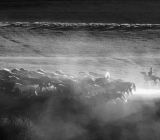 以《罗生门》为例谈黑白影片的艺术特点