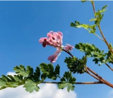 人生贵在平衡3篇