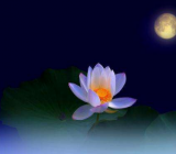 给老师的中秋祝福语