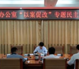 以案促改专题民主生活会领导班子对照检查材料