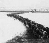 为什么要抗美援朝