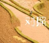 2020年民主生活会个人对照检查8篇