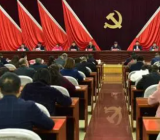 县委办公室副主任党史学习教育专题组织生活会检视剖析材料