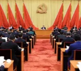 组织委员党史学习教育专题组织生活会检视剖析材料