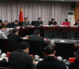 2021年书记项目工作经验材料范文五篇