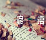 小动物的谚语(锦集3篇)