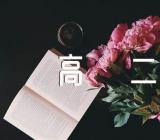 议论记叙抒情作文500字高二六篇