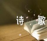 爱国美德抒情诗歌范文(精选三篇)