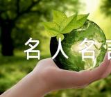 苏轼的名人名言素材38句【2篇】