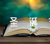 好玩的圣诞节活动方案(合集4篇)