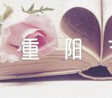 九九重阳节活动方案总结范文(精选4篇)