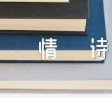 中12首经典爱情诗精选五篇