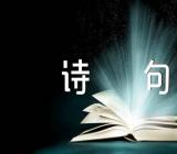 最唯美的爱情诗句锦集三篇