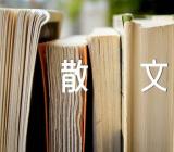 春节的优美散文范文汇总三篇