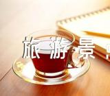 台湾旅游景点的导游词讲解精选四篇