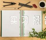 文秘实习报告精选六篇