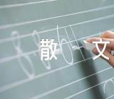 夏天的优美散文锦集四篇