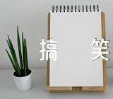 适合发朋友圈的光棍节搞笑语录【二篇】