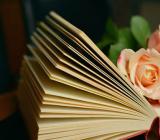 2022山东青岛初级会计考试考后资格复核时间20229月7日至9月16日