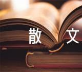 经典抒情散文(合集三篇)