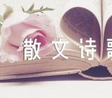 现代优美散文诗歌范文五篇