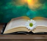 2023年上半年山东教师资格面试报名时间4月14日-15日