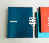 班主任带班育人方略一等奖 - 党团相关(合集四篇)