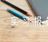 文秘实习报告【汇编五篇】