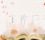 支部委员会工作报告范文汇总三篇