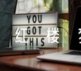 红楼梦读书心得300字【7篇】