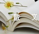 高一抒情散文精选6篇