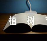 植树节活动方案参考