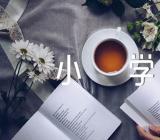 我学会洗衣服小学作文(通用8篇)