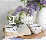 2023年红楼梦读书笔记1回红楼梦读书笔记500字(锦集5篇)