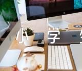 《红楼梦》小学生读书心得400字(合集4篇)