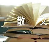 叙事散文抒情散文(合集6篇)