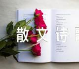 现代优美散文诗歌【汇编三篇】