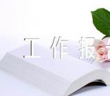 项目验收标准工作报告参考(锦集6篇)