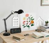 自我介绍在初中作文2023(合集四篇)