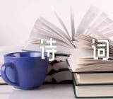 陆游的经典爱国诗词范文三篇