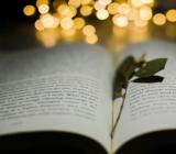 介绍江苏网师园的导游词