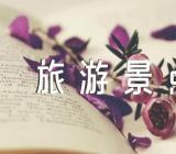 介绍西藏旅游景点的导游词范文(精选五篇)