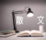 爱情的优美散文锦集六篇