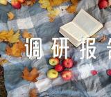 重庆水果价格变动调研报告范文汇总三篇