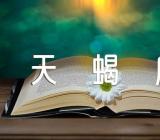 天蝎座每月运势详解(合集五篇)