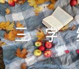 国学经典语文三字经集合3篇