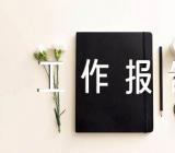 年度的工作报告范文四篇